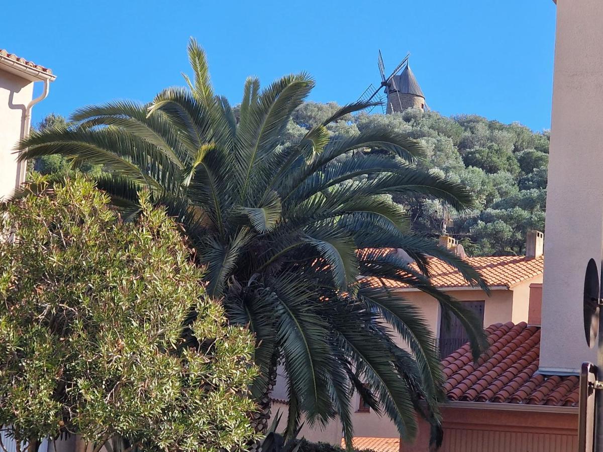 location Coma Chéric Collioure Exterior foto